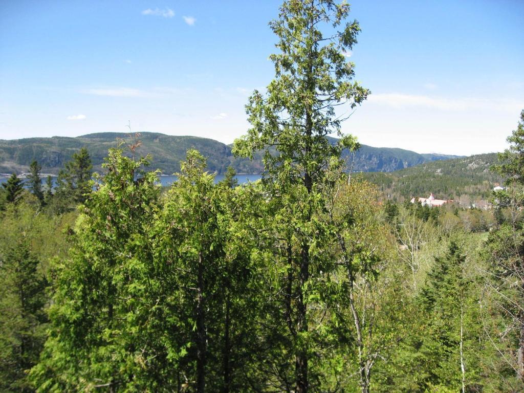 הוילה טאדוסאק Chalet De La Montagne מראה חיצוני תמונה